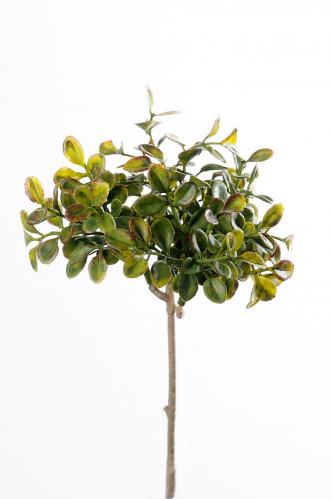 Lingonris kvist - Grön - 20 cm - www.frokenfraken.se
