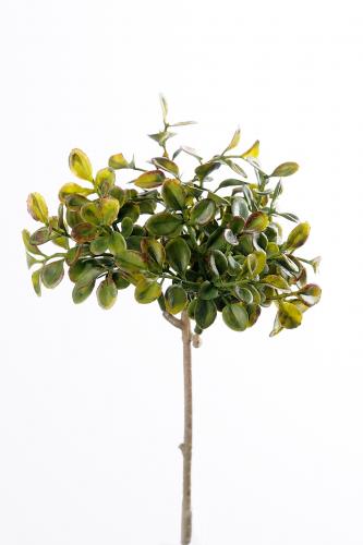 Lingonris kvist - Grön - 20 cm - www.frokenfraken.se