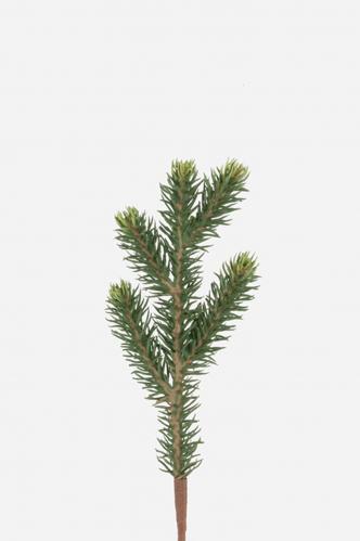 Gran - Grön - 21 cm - www.frokenfraken.se