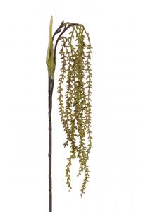 Succulent - Grön - 35 cm - www.frokenfraken.se