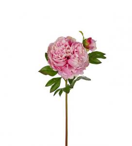 Pion - Rosa - 65 cm - www.frokenfraken.se