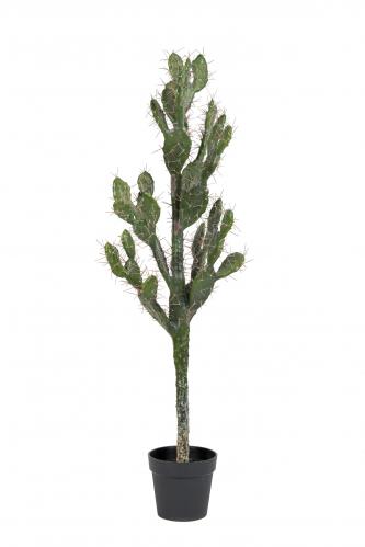 Kaktus - Grön - 130 cm - www.frokenfraken.se