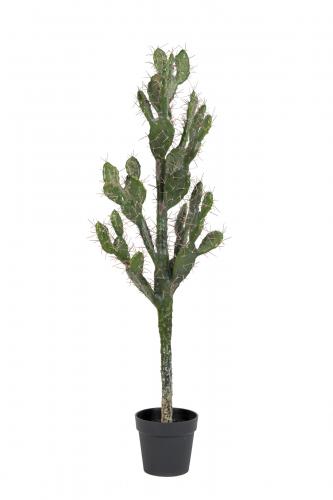 Kaktus - Grön - 130 cm - www.frokenfraken.se