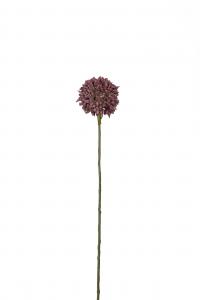 Allium - Lila - 45 cm - www.frokenfraken.se
