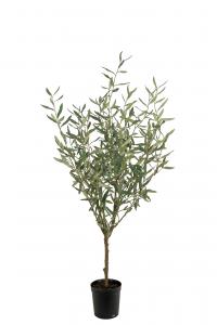 Olivträd - Grön - 130 cm - www.frokenfraken.se