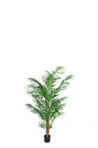 Areca Palm - Grön - 120 cm - www.frokenfraken.se