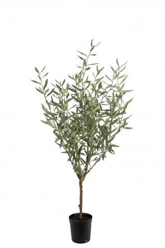 V.48 Oliv - Grön - 130 cm - www.frokenfraken.se