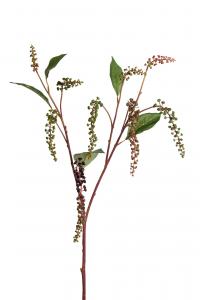 Bärkvist - Grön - 90 cm - www.frokenfraken.se
