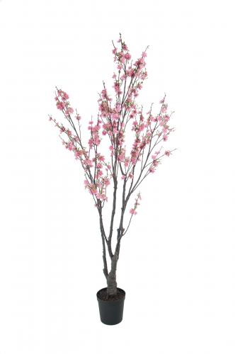 Körsbärsblom - - 180 cm - www.frokenfraken.se