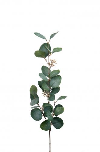 Eucalyptus med bär - Grön - 70 cm - www.frokenfraken.se