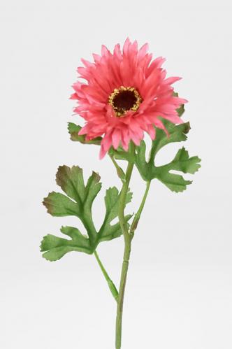 Chrysanthemum - Rosa - 35 cm - www.frokenfraken.se