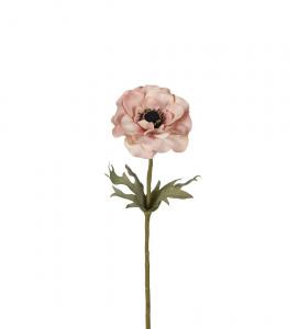 Anemone - Rosa - 50 cm - www.frokenfraken.se