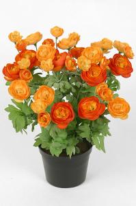 Ranuncel - Orange - 30 cm - www.frokenfraken.se