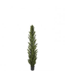 Cypress - Grön - 90 cm - www.frokenfraken.se