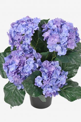 Hortensia - Bl - 37 cm - www.frokenfraken.se