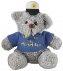 Nalle - Student - 18 cm - www.frokenfraken.se