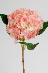 Hortensia - Rosa - 40 cm - www.frokenfraken.se