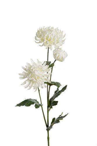Chrysanthemum - Vit - 60 cm - www.frokenfraken.se