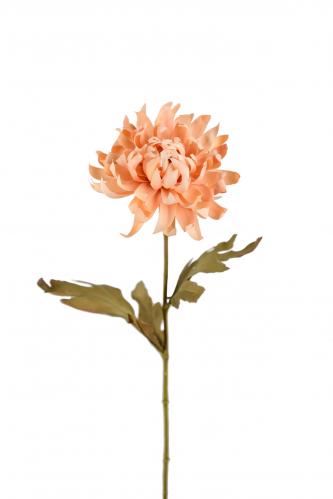 Chrysanthemum - Brun - 55 cm - www.frokenfraken.se