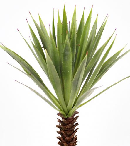 Agave - Grn - 44 cm - www.frokenfraken.se