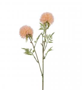 Allium - Rosa - 60 cm - www.frokenfraken.se