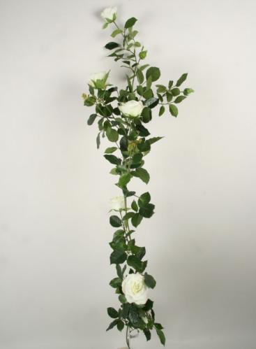 Rosgirlang - Vit - Royal Rose - 147 cm - www.frokenfraken.se