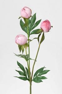 Pion - Rosa - 45 cm - www.frokenfraken.se