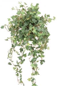 Murgröna - Konstväxt - 78 cm - www.frokenfraken.se