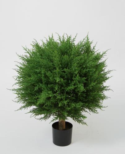 Cypress - Grn - 70 cm - www.frokenfraken.se