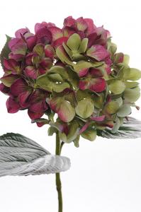 Hortensia - Röd - 65 cm - www.frokenfraken.se