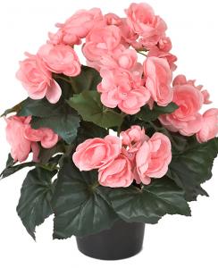 Begonia Rosa - Konstväxt - 28 cm - www.frokenfraken.se