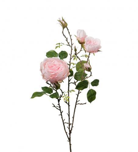 Kvistros - Rosa sidenros - 90 cm - www.frokenfraken.se