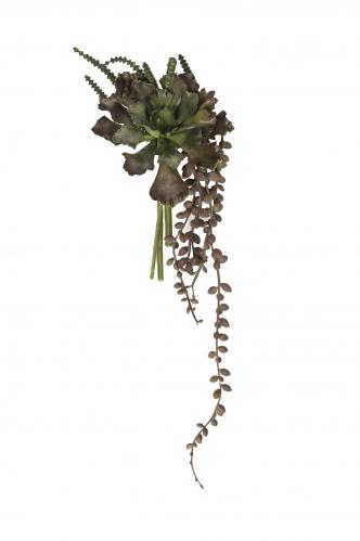 Succulent bukett - Grn - 20 cm - www.frokenfraken.se