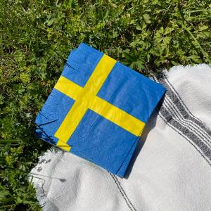 Servett - Flagga Sverige - 33 x 33 cm - www.frokenfraken.se