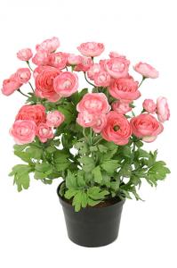 Ranunkel i kruka - Rosa - Konstväxt - 30 cm - www.frokenfraken.se