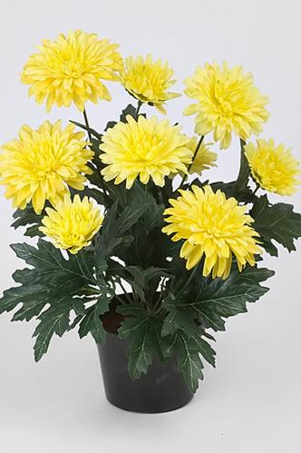 Chrysanthemum - Gul - 30 cm - www.frokenfraken.se