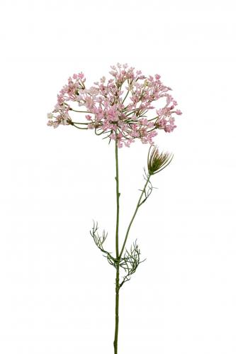 Allium - Rosa - 70 cm - www.frokenfraken.se