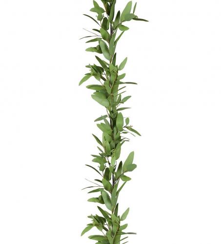 Eucalyptus girlang - Grn - 160 cm - www.frokenfraken.se
