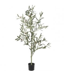 Olivträd - Grön - 120 cm - www.frokenfraken.se