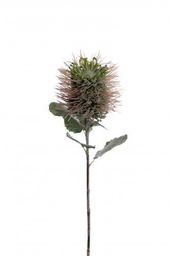 Protea - Rosa - 60 cm - www.frokenfraken.se