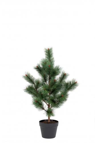 Tall - Grön - 80 cm - www.frokenfraken.se