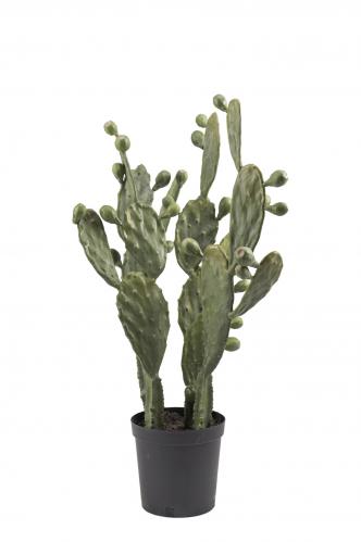 Kaktus - Grn - 85 cm - www.frokenfraken.se