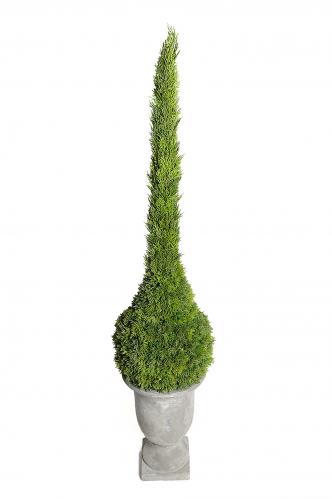Cypress - Grn - 130 cm - www.frokenfraken.se