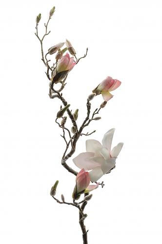 Magnolia - Rosa - 135 cm - www.frokenfraken.se