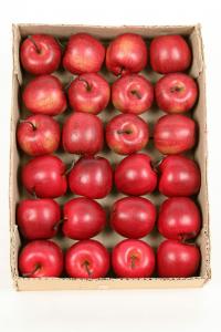 Äpple - Röd - 5 cm - www.frokenfraken.se