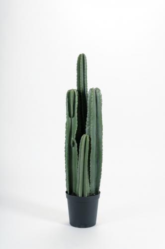 Kaktus - Grön - 97 cm - www.frokenfraken.se