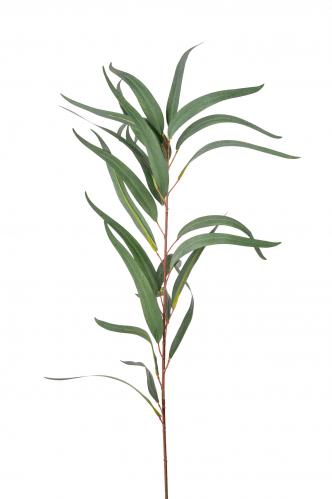Eucalyptus - Grn - 100 cm - www.frokenfraken.se