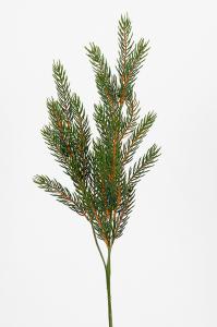 Gran - Grön - 46 cm - www.frokenfraken.se