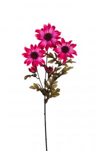 Rudbeckia - Lila - 65 cm - www.frokenfraken.se