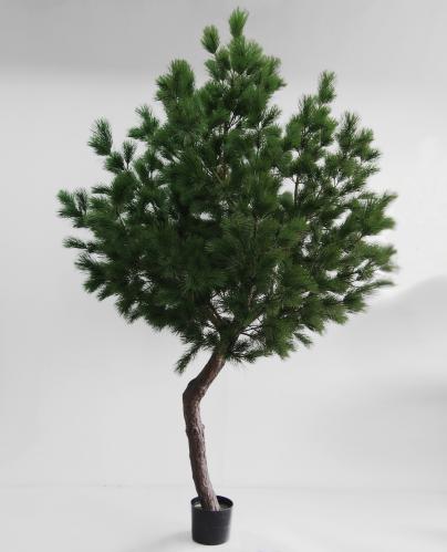 Tall - Pine Tree - 270 cm - www.frokenfraken.se